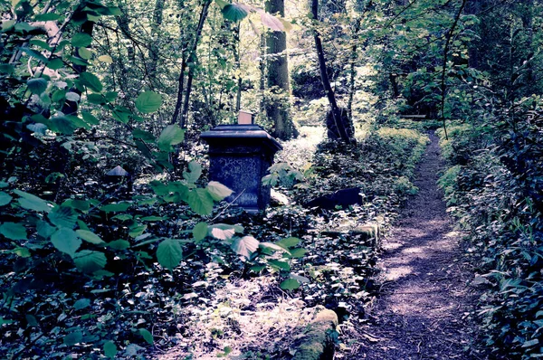 Pedra Tumular Quebrada Com Danos Cemitério Verde — Fotografia de Stock