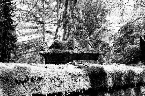 Náhrobní Kámen Poškozený Hřbitově Zeleném — Stock fotografie