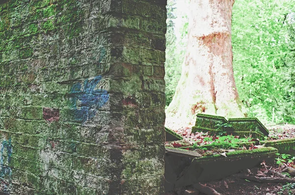 Pedra Tumular Quebrada Com Danos Cemitério Verde — Fotografia de Stock