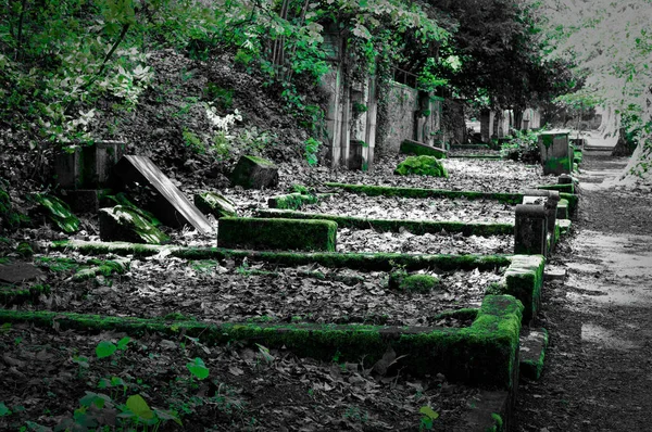 Pedra Tumular Quebrada Com Danos Cemitério Verde — Fotografia de Stock