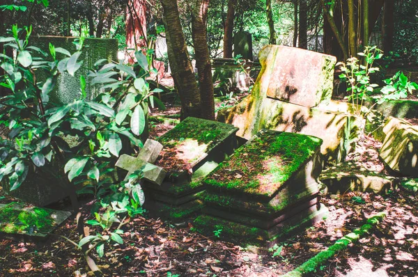 Pedra Tumular Quebrada Com Danos Cemitério Verde — Fotografia de Stock