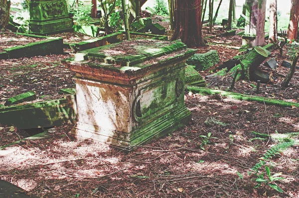 Pedra Tumular Quebrada Com Danos Cemitério Verde — Fotografia de Stock