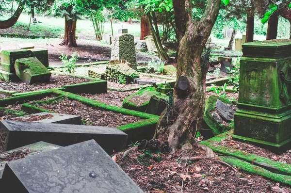 Yeşil Bir Mezarlıküzerinde Hasar Ile Kırık Mezar Taşı — Stok fotoğraf