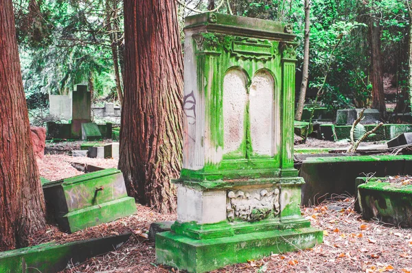 Pedra Tumular Quebrada Com Danos Cemitério Verde — Fotografia de Stock