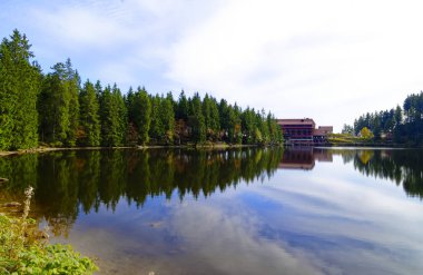 Mummelsee Baden-Wurttemberg Almanya'da Achern yakınlarındaki Kara Orman'da su ve orman ile kıyıda 2017.09.29 aldı