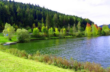 Baden-Wurttemberg'deki Kara Orman'daki Nagold nehrinin Nagoldsperre'i 2017.09.30 tarihinde fotoğraflandı