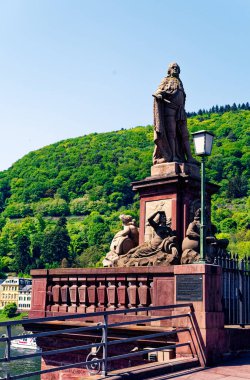 Heidelberg Baden-Wrttemberg Almanya'da arka planda Heidelberg Kalesi ile güneşli