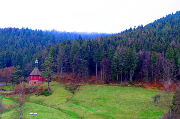 Holzhütte Schwarzwald Mit Nebligen Tannen Hintergrund Einer Straße — Stockfoto