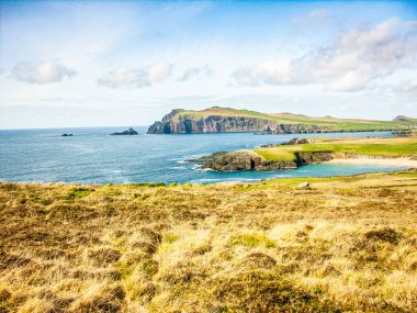 İrlanda 'da çayır, su gökyüzü ve yeşil çayırlar ile kıyı manzarası