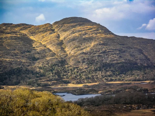 Kystlandskap Med Enger Irland Med Vannhimmel Grønne Enger – stockfoto