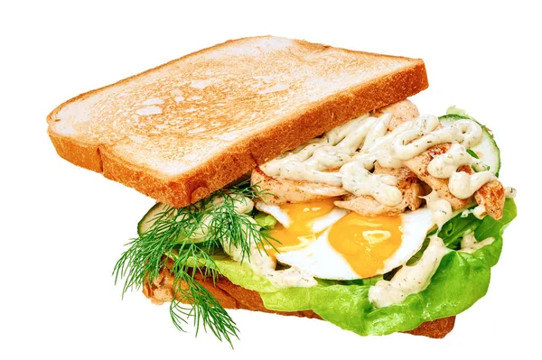 Сендвіч Білими Хлібними Тостами Смаженою Куркою Омлетом Свіжим Зеленим Листям — стокове фото