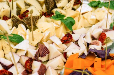 Peynir tabağı çeşitler kuru domates ve yeşil salata yaprakları