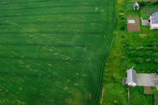 Green farmland field with agricultural building and garden beds