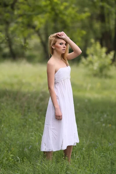 Elegante Con Colorido Vestido Niña Campo Verano Colorido Paisaje Primavera —  Fotos de Stock