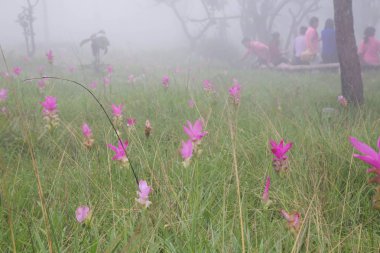 Tayland kuzeydoğusunda yer alan konumlar.