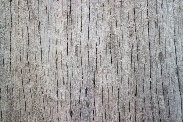 Фотографии Поверхности Сухих Мертвых Деревьев — стоковое фото