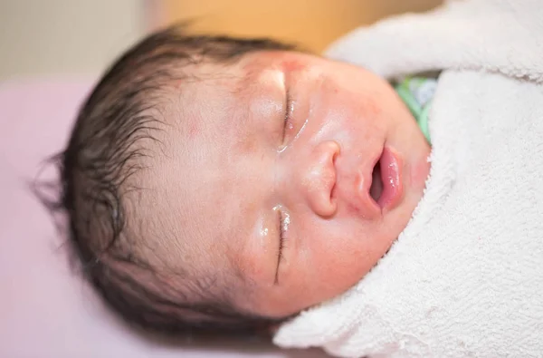 Yeni doğan bebeklerin fotoğraflarını kapatın.