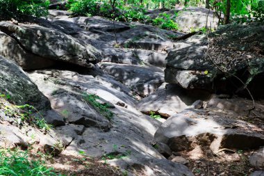 Wash'de şelale taş.