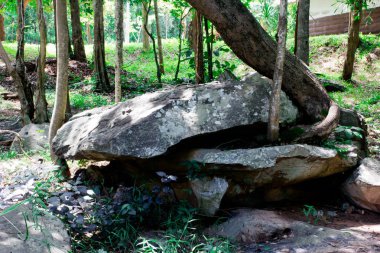 Wash'de şelale taş.