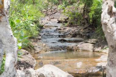 Kuzeydoğu Tayland ormanlarda şelale.