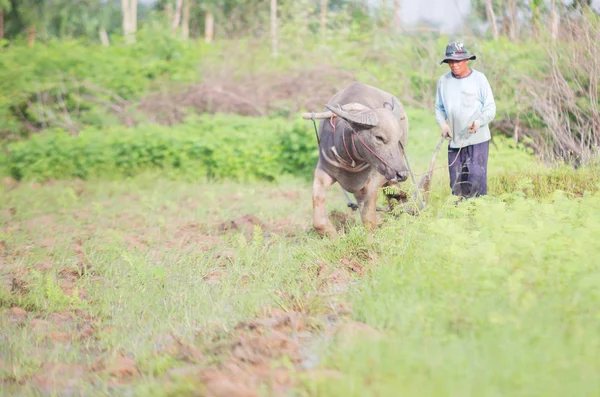 Thai Farmer — Stock Photo, Image