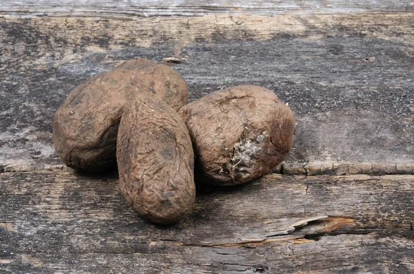 Old Listless Potato Wooden Background Front View — Stock Photo, Image