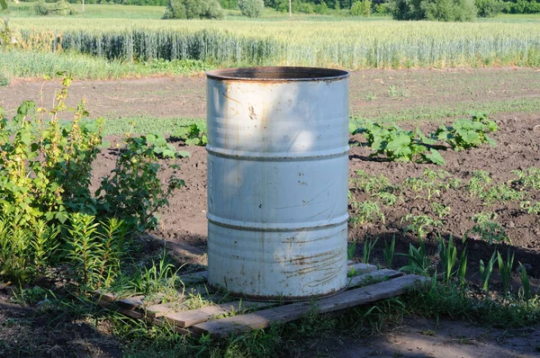 Bitkilerin sulama için su ile metal varil.