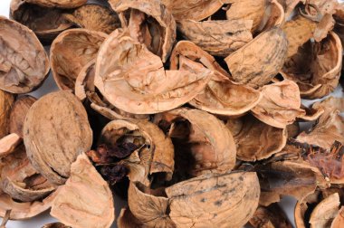 Ceviz kabuğundan. Önden görünüm.