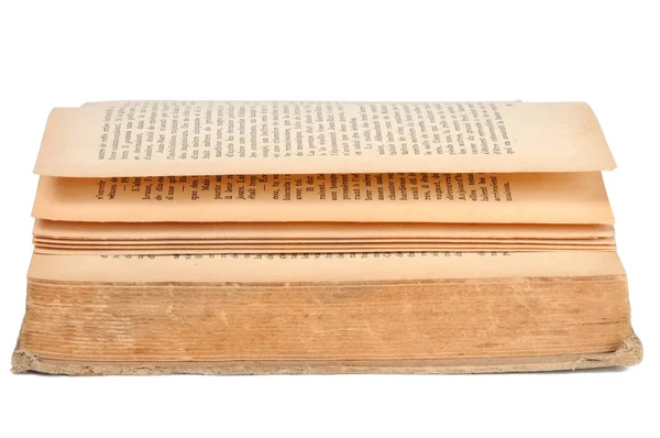 Beyaz arka plan üzerinde kitap açtı. Önden görünüm.