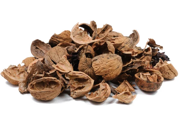 Beyaz arka plan üzerinde ceviz kabuğu. Önden görünüm.