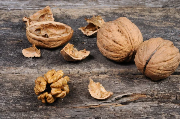 Walnuts Shells Front View — Stock Photo, Image