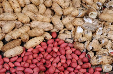 Fıstık, soyulmuş ve kabuklu. Ön görünüm.