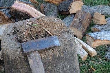 Arka planda yakacak odun olan ağaç kütüğündeki balta. Yakın plan fotoğraf. Kış için odun topluyorum..