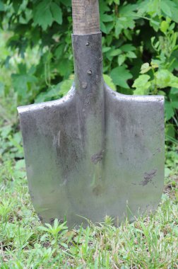 Kürek yere saplanmış ve bahçede yeşil çimenler var. Yakın plan fotoğraf. Toprağı elle kazıyorum..