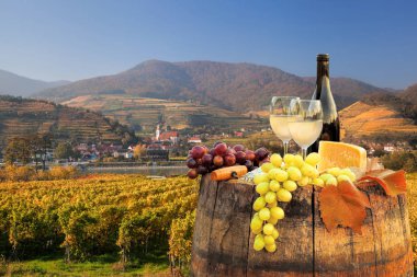 Beyaz şarap varil üzerinde ünlü üzüm bağıyla Wachau, Spitz, Avusturya ile