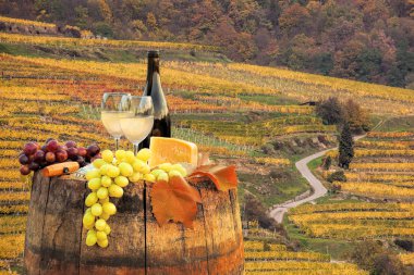 Beyaz şarap varil üzerinde ünlü üzüm bağıyla Wachau, Spitz, Avusturya ile