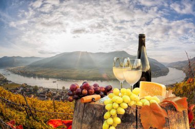 Beyaz şarap varil üzerinde ünlü üzüm bağıyla Wachau, Spitz, Avusturya ile