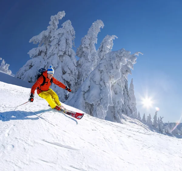 Skier Skiing Downhill High Mountains Blue Sky Stock Picture