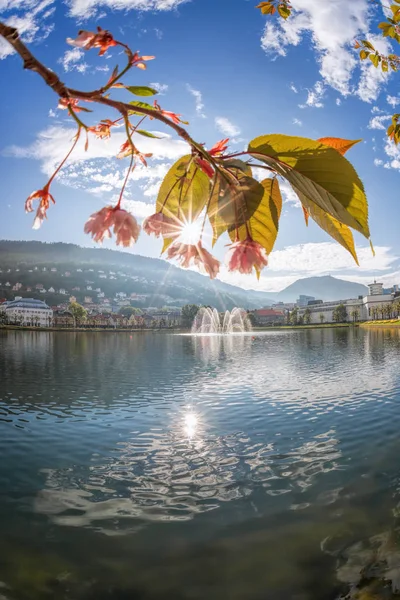 Primavera Bergen Noruega — Fotografia de Stock