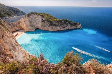 Navagio beach with shipwreck and flowers on Zakynthos island, Greece clipart