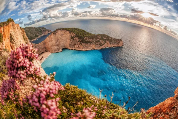 Yunanistan 'ın Zakynthos adasında gemi enkazı ve çiçekli Navagio plajı