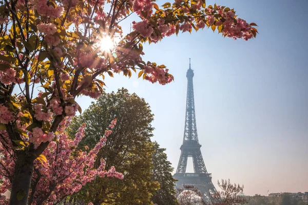 Πύργος Του Άιφελ Δέντρα Άνοιξη Στο Παρίσι Γαλλία — Φωτογραφία Αρχείου