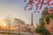 Eiffelturm mit Frühlingsbäumen in Paris, Frankreich