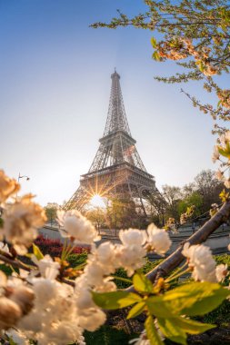Eiffel Tower during spring time in Paris, France clipart