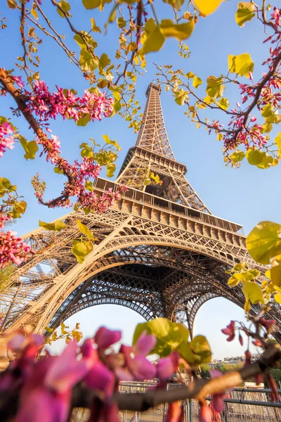 Torre Eiffel durante la primavera en París, Francia —  Fotos de Stock