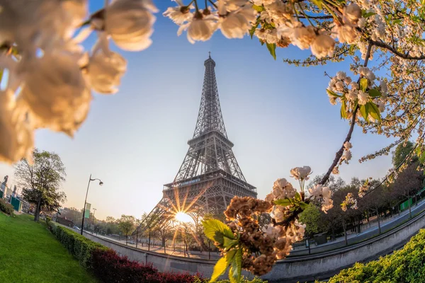 Eiffeltoren tijdens de lentetijd in Parijs, Frankrijk — Stockfoto