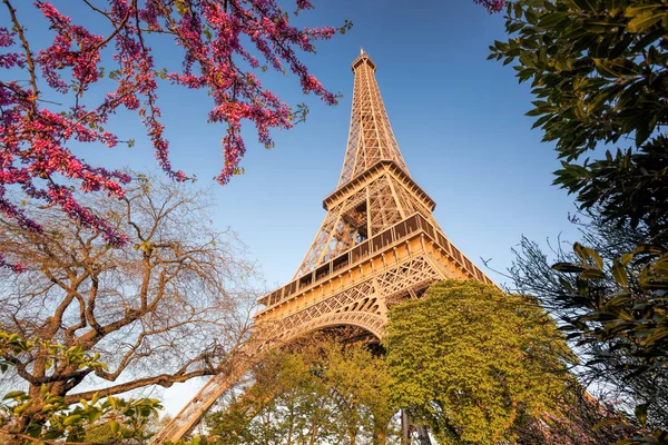 Eiffelturm im Frühling in Paris, Frankreich — Stockfoto