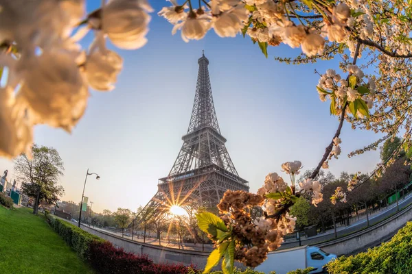 Eiffeltoren tijdens de lentetijd in Parijs, Frankrijk — Stockfoto