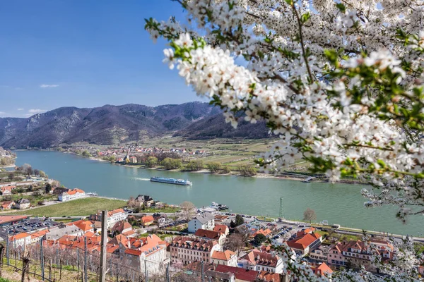 Primavera en Wachau, pueblo de Spitz con barco en el río Danubio, Austria — Foto de Stock