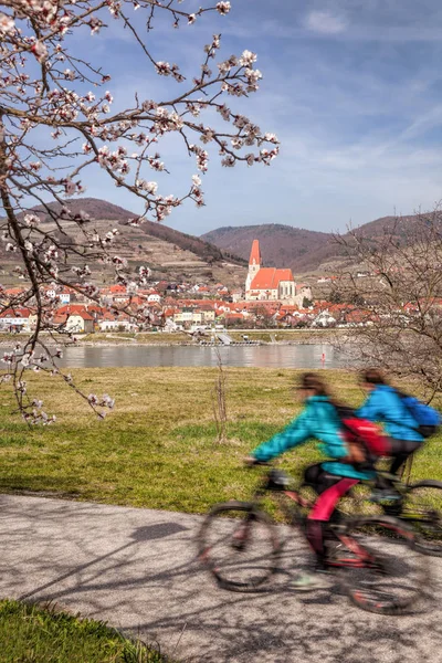 Ciclistas contra a aldeia de Weissenkirchen em Wachau durante a primavera, Áustria — Fotografia de Stock